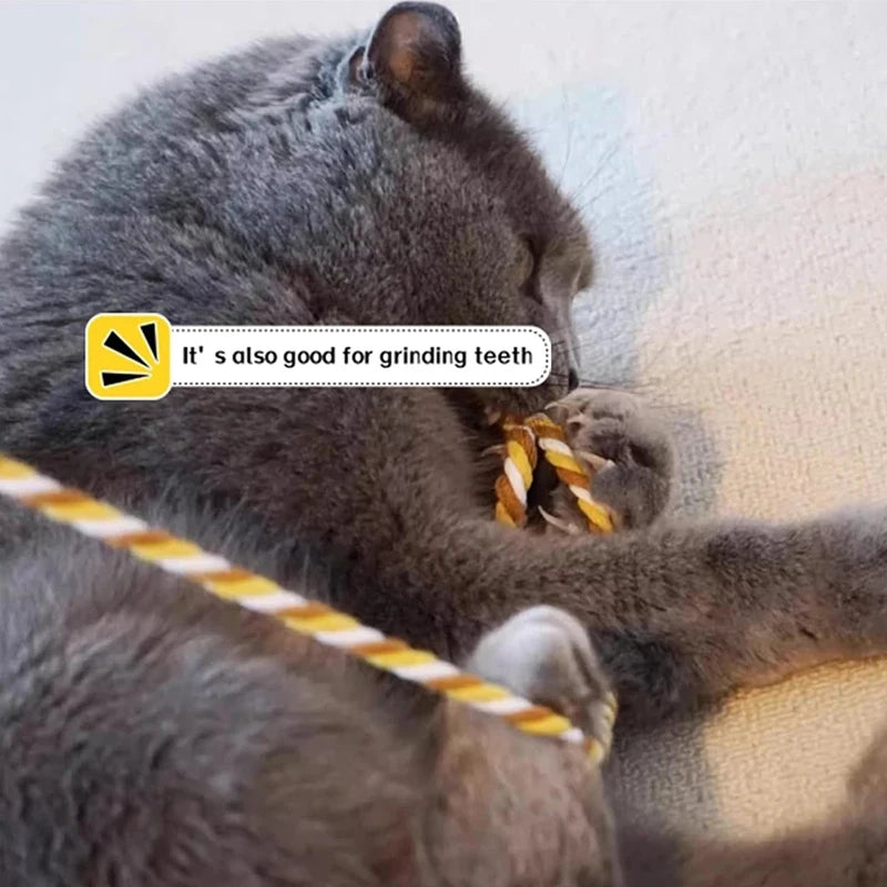 Interaktives Katzen-Spielzeug mit Satinband