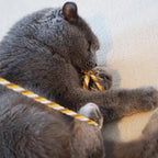 Interaktives Katzen-Spielzeug mit Satinband