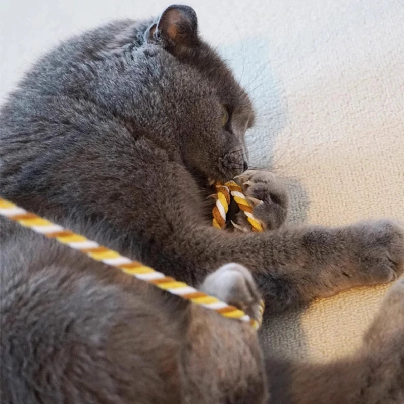 Interaktives Katzen-Spielzeug mit Satinband